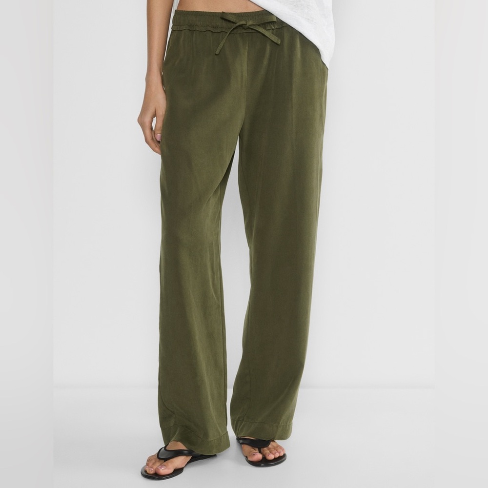 Aritzia Little Moon Winifred Dark Olive Green Wide Leg Pants